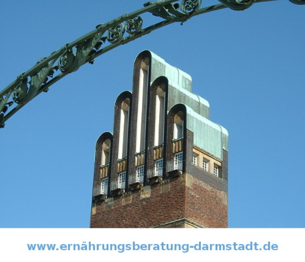 www.ernährungsberatung-darmstadt.de